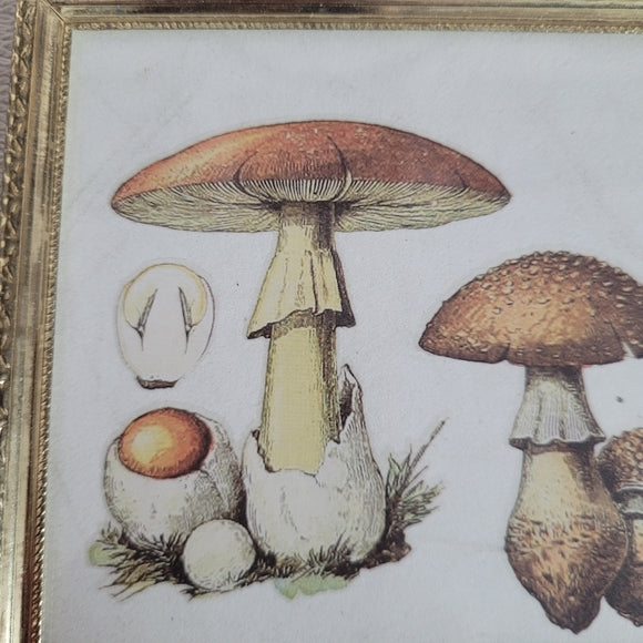 Mushroom Art Group of 3 Vintage Brass Frame Handmade Upcycled