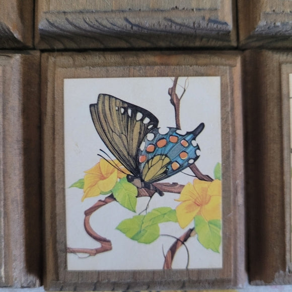 Vintage Birds and Butterfly prints on Wood set of 6.