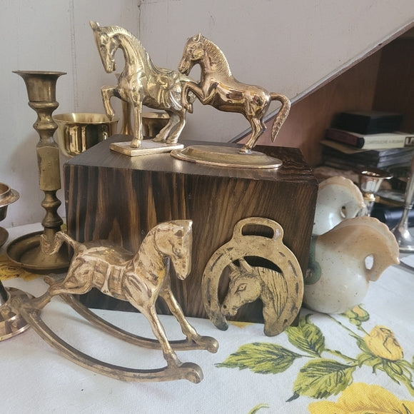 Vintage Brass Horse Head in a Horseshoe Medallion