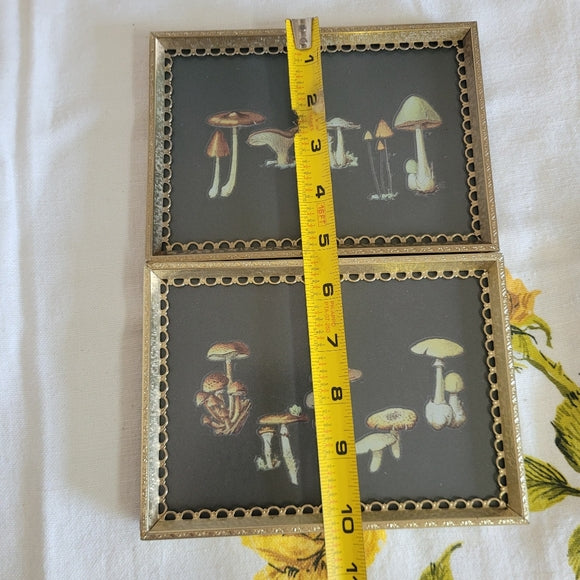 Mushroom Art Vintage Brass Frame Handmade Upcycled set of 2