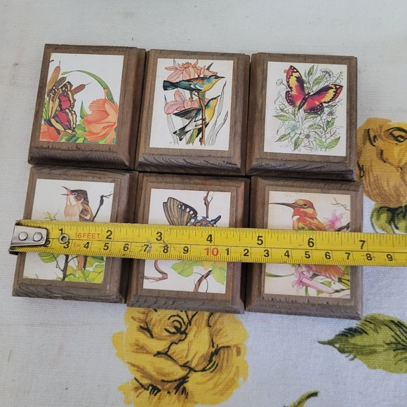 Vintage Birds and Butterfly prints on Wood set of 6.