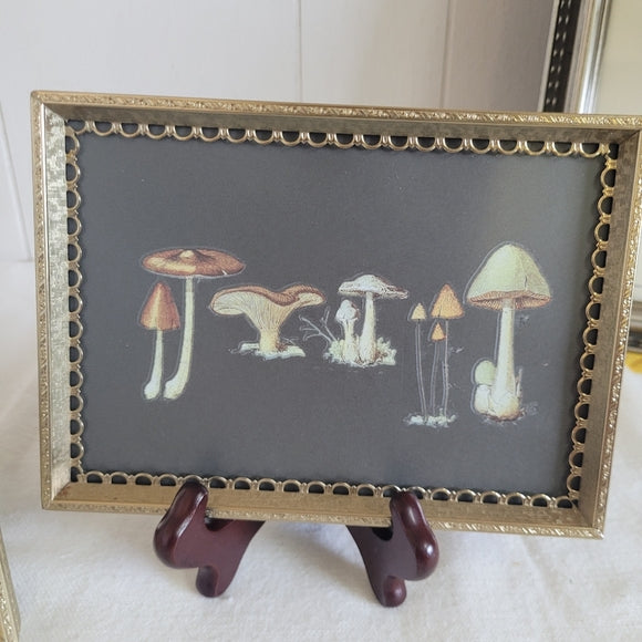 Mushroom Art Vintage Brass Frame Handmade Upcycled set of 2