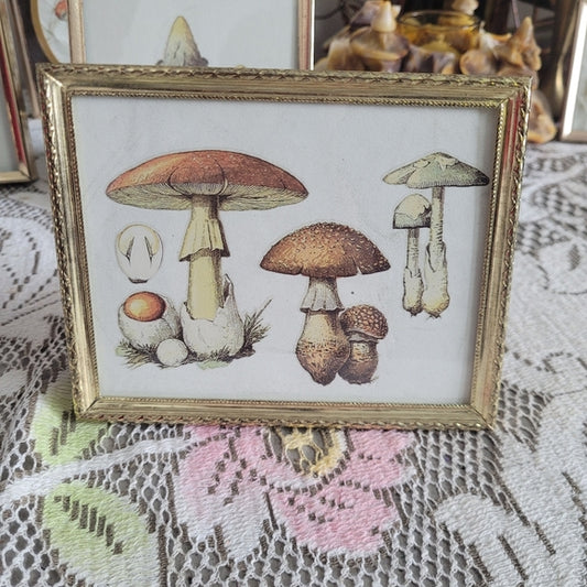 Mushroom Art Group of 3 Vintage Brass Frame Handmade Upcycled