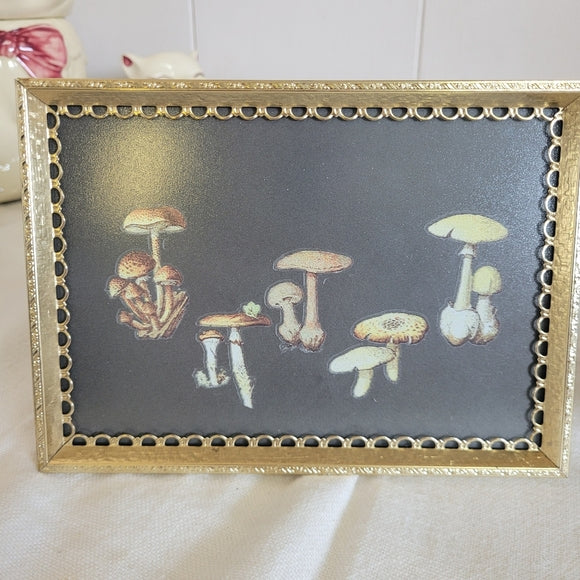 Mushroom Art Vintage Brass Frame Handmade Upcycled set of 2