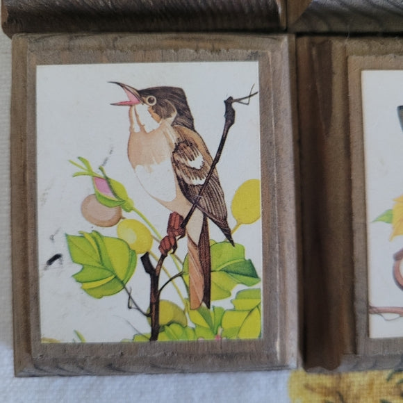 Vintage Birds and Butterfly prints on Wood set of 6.