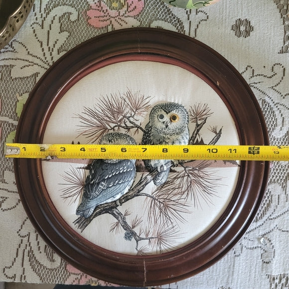 Vintage Owls Quilted Googly Eyes Framed