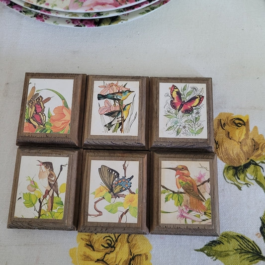 Vintage Birds and Butterfly prints on Wood set of 6.