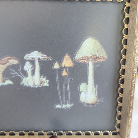 Mushroom Art Vintage Brass Frame Handmade Upcycled set of 2