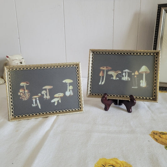 Mushroom Art Vintage Brass Frame Handmade Upcycled set of 2