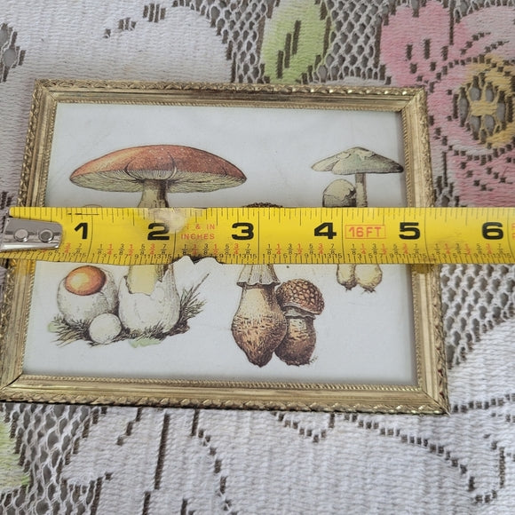 Mushroom Art Group of 3 Vintage Brass Frame Handmade Upcycled