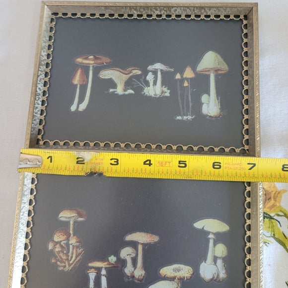 Mushroom Art Vintage Brass Frame Handmade Upcycled set of 2