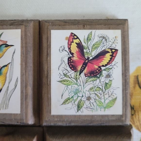 Vintage Birds and Butterfly prints on Wood set of 6.