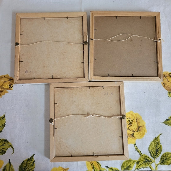 Vintage Floral Prints Square white frame under glass set of 3