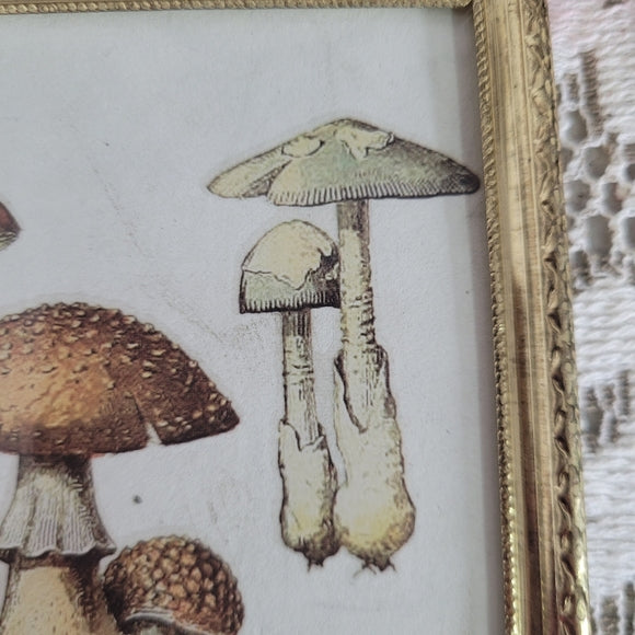 Mushroom Art Group of 3 Vintage Brass Frame Handmade Upcycled