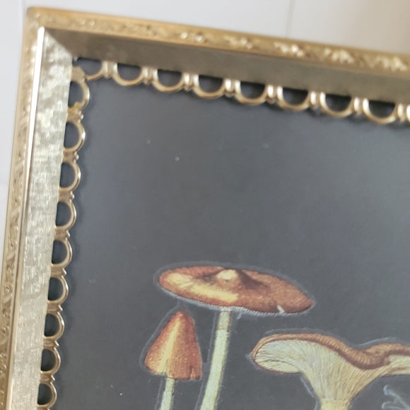 Mushroom Art Vintage Brass Frame Handmade Upcycled set of 2