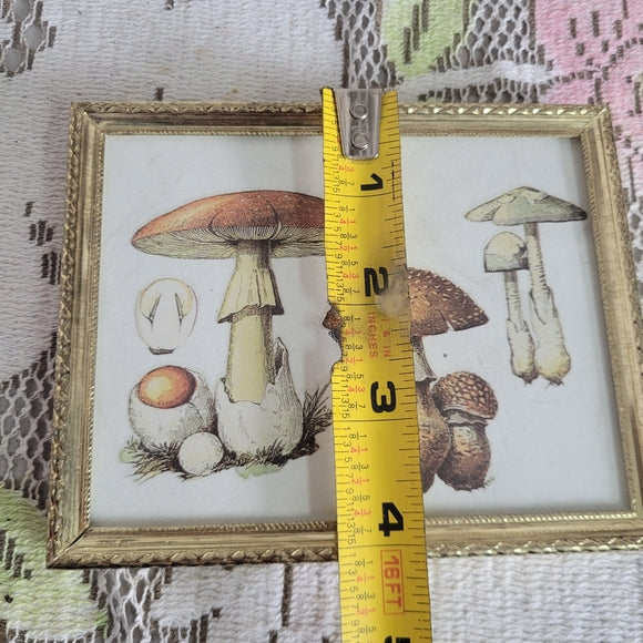 Mushroom Art Group of 3 Vintage Brass Frame Handmade Upcycled