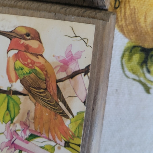 Vintage Birds and Butterfly prints on Wood set of 6.