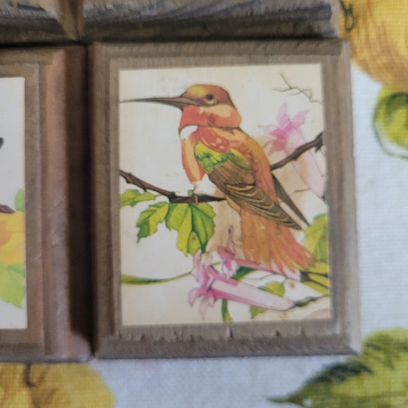 Vintage Birds and Butterfly prints on Wood set of 6.